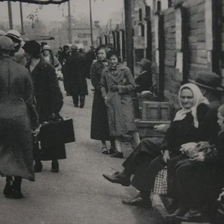 - 1 Bedroom With Private Sauna *